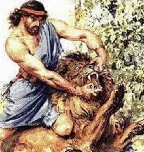 When you ask your dog what they're eating and they keep chewing