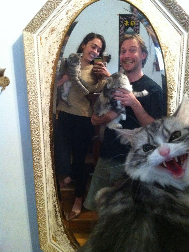 I don't think fluffy wanted to be in the family photo...