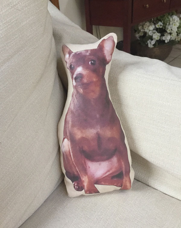 I asked for new pillows for my couch, my step mom made me one of my dog