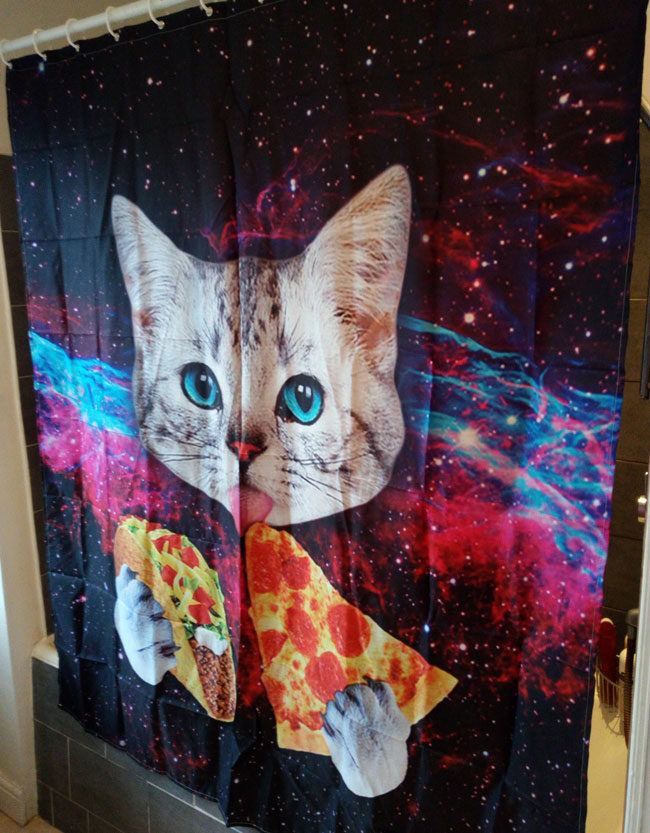 I was in charge of buying a new shower curtain today and purchased the best one in the world. SO disagrees