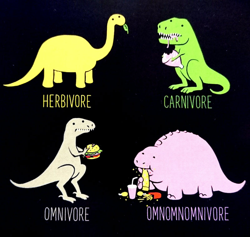 Different kinds of dinosaur