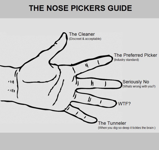 The Nose Pickers Guide