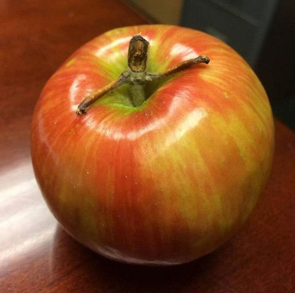 I Am Froot