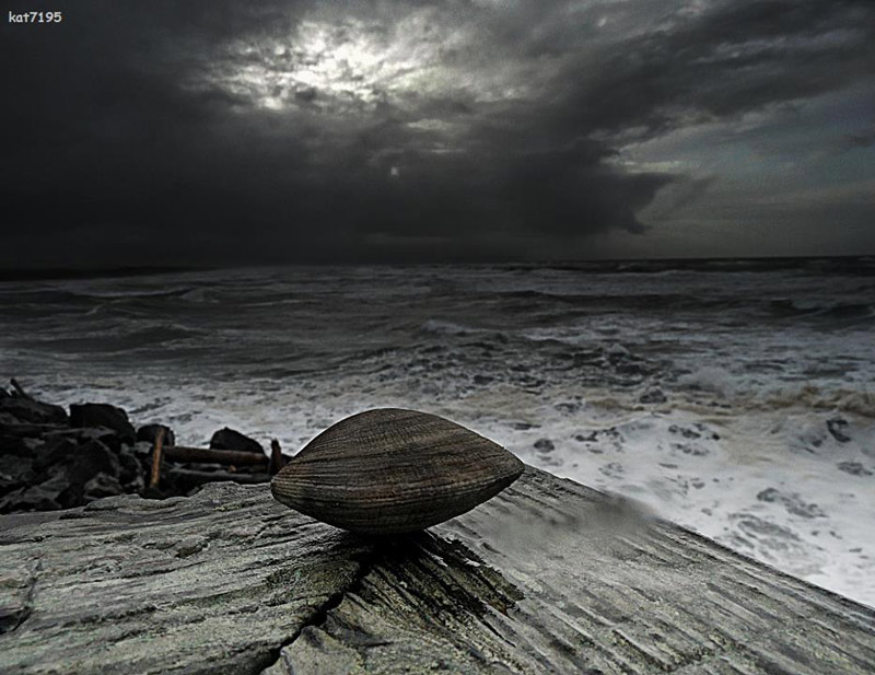 The clam before the storm