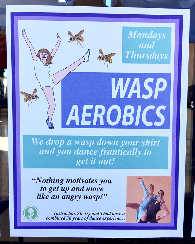 Wasp Aerobics