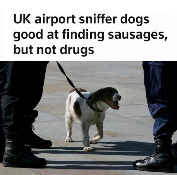 Stop the sausage smuggling