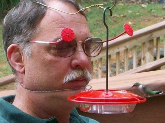 My gf was looking for a hummingbird feeder for her grandma's birthday gift on Amazon and came across this picture of how a reviewer used his