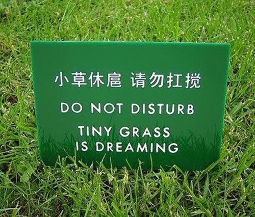 Sh....tiny grass