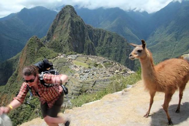 My friend's trip to Machu Picchu went well