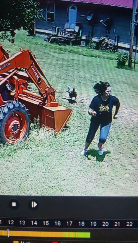 Mom told me the rooster was after her today. Had to check security camera to verify