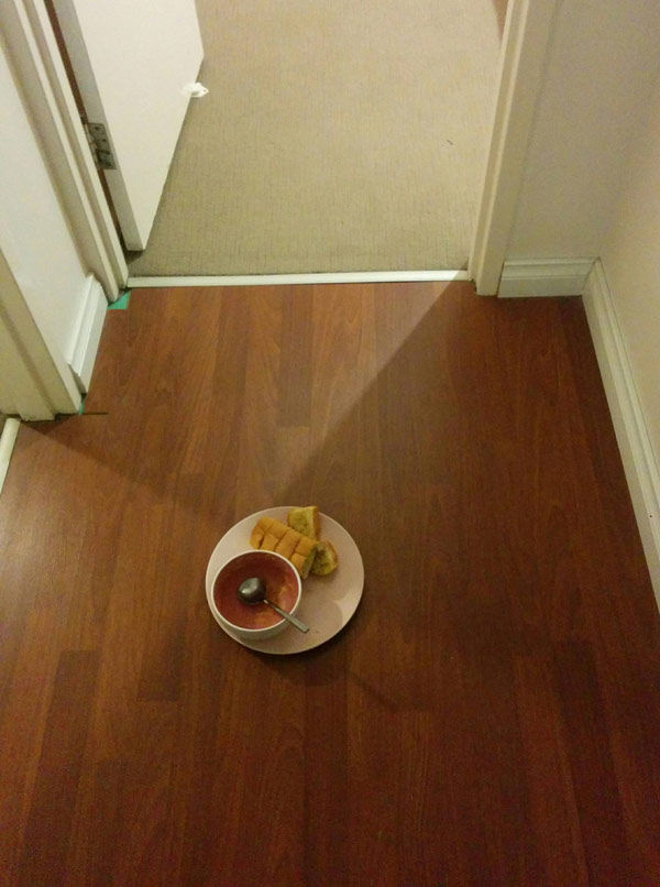 I think my girlfriend is a Sim, this is her finished dinner