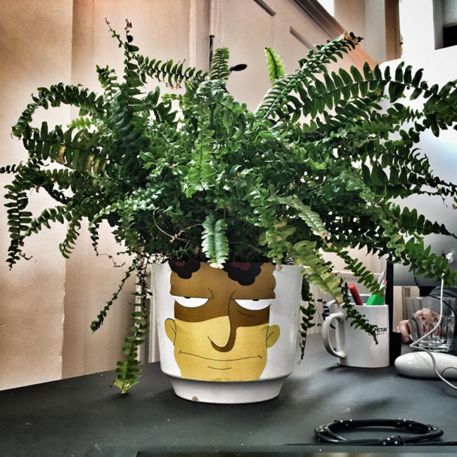 A friend asked me to mind his houseplant for a few days. I hope he likes the makeover I gave it