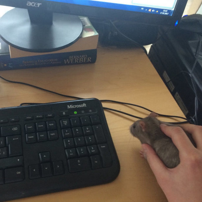 This new mouse isn't working