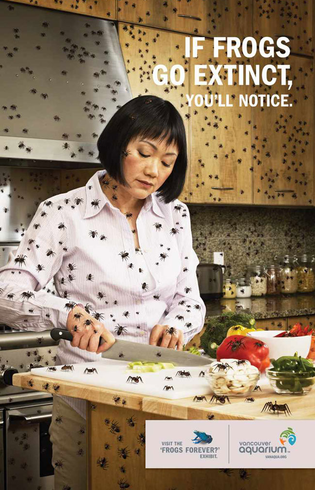 Holy shit, save the goddamn frogs!