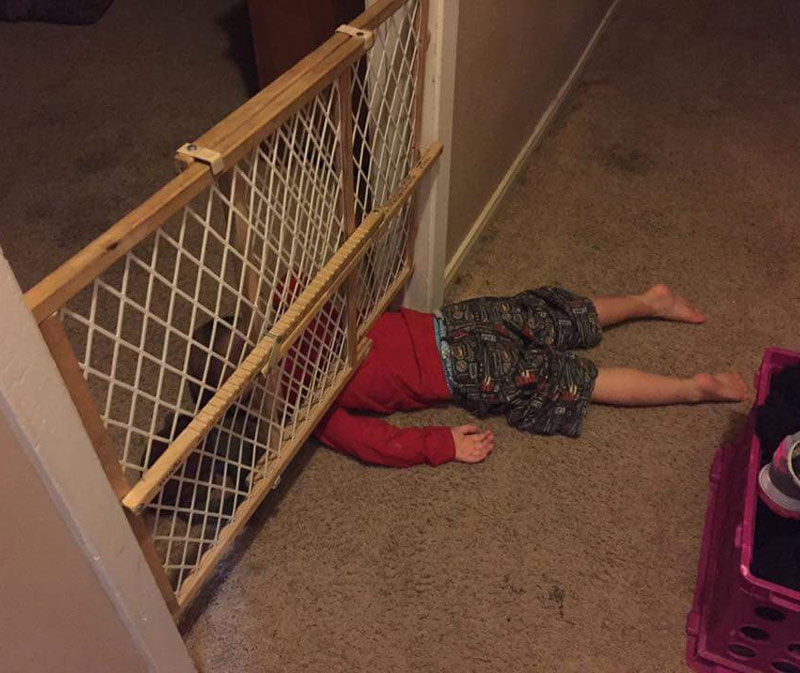 My nephew tried to escape from his room last night, got stuck, was too tired to call for help, and promptly fell asleep there for the rest of the night