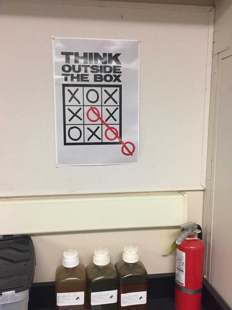 This poster in class is telling me to cheat at Tic-Tac Toe...