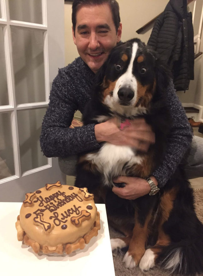 I ordered birthday cake for my dog... Her reaction was worth every penny