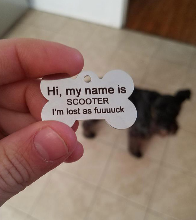 Scooter!