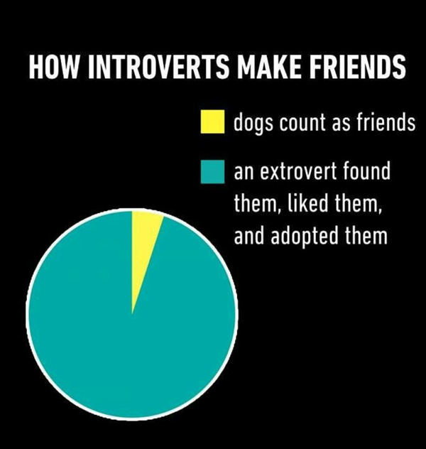 We all need an extrovert in our life!