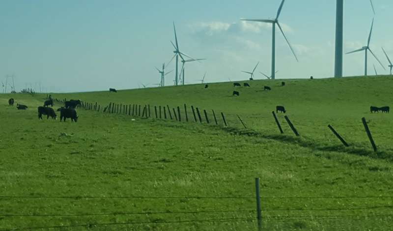 My 5 year old: "That farmer must really love his cows.... he put up all those fans to keep them cool."