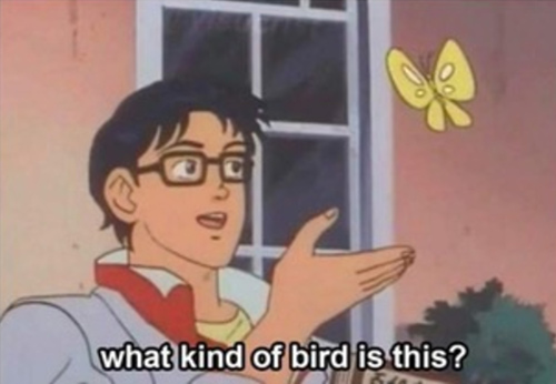 When the internet goes out and your forced to get to know your surroundings