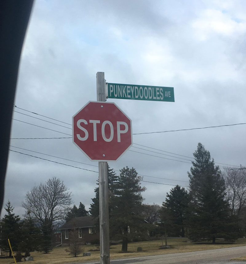 Found the most ridiculous street name yesterday