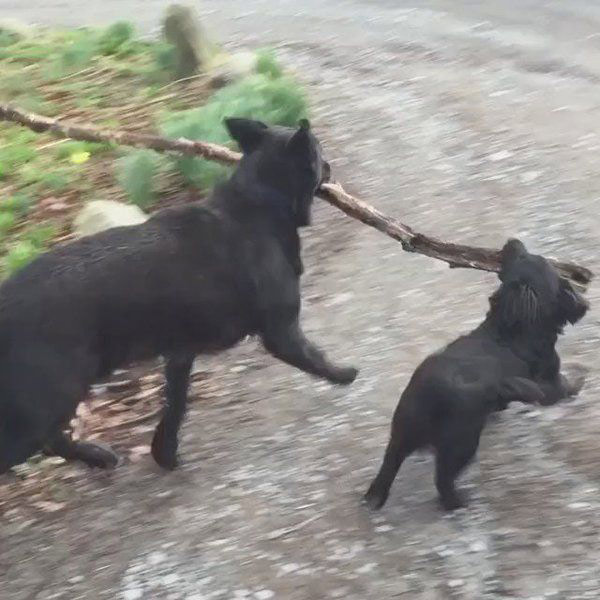 Branch Manager & Assistant to the Branch Manager