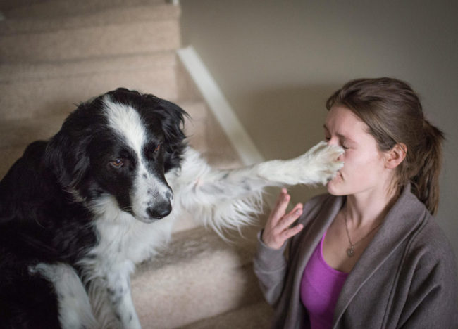 I snapped a picture of my dog bitch slapping my girlfriend