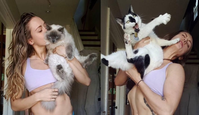 There are 2 types of cats...