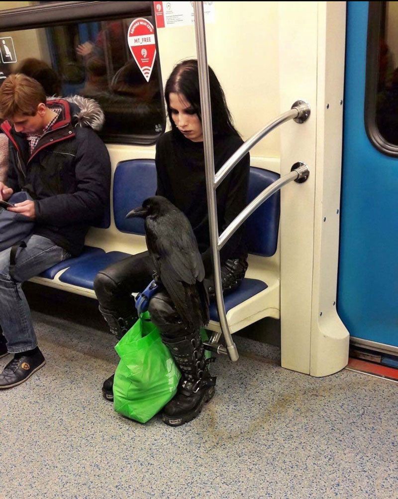 Sure, you're goth, but are you dejectedly riding the subway with your raven goth?