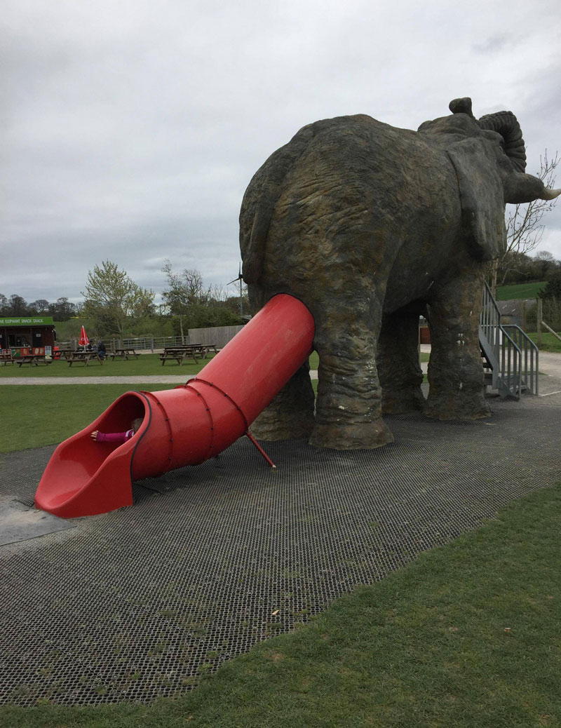 The slide at my local zoo is a prolapsed elephant