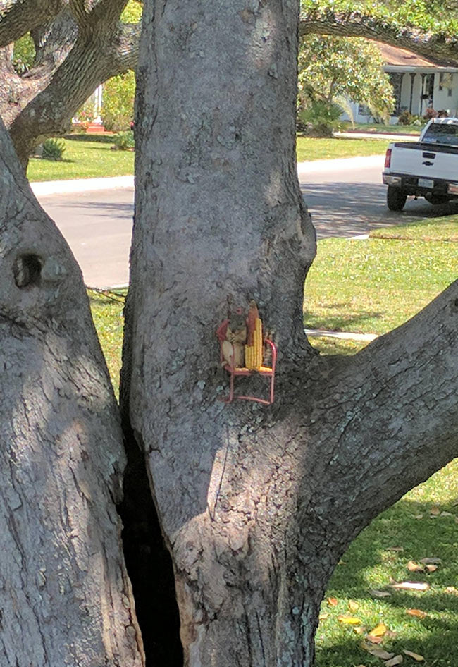 My mom just sent me this picture of a squirrel sitting in a tiny chair in a tree eating a cob of corn
