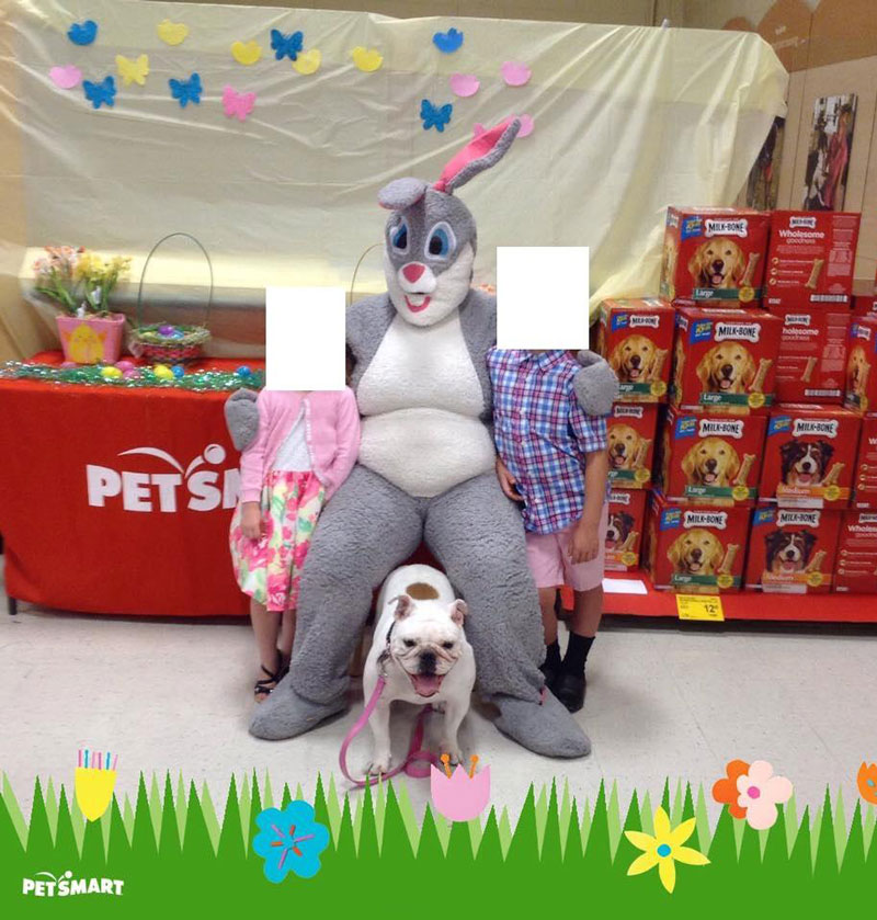This Easter bunny