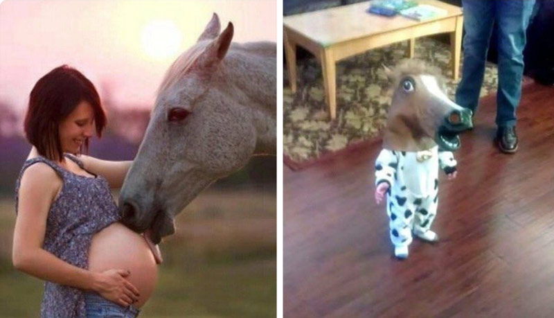 Is it wrong? I say neigh