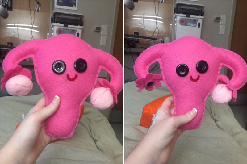 I'm recovering from a Unilateral salpingo-oophorectomy (removal of one ovary). My friend made me this stuffed animal to help me recover