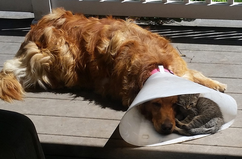 Nice to have a buddy when you're down & out