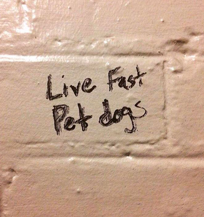 The writing on the bathroom wall