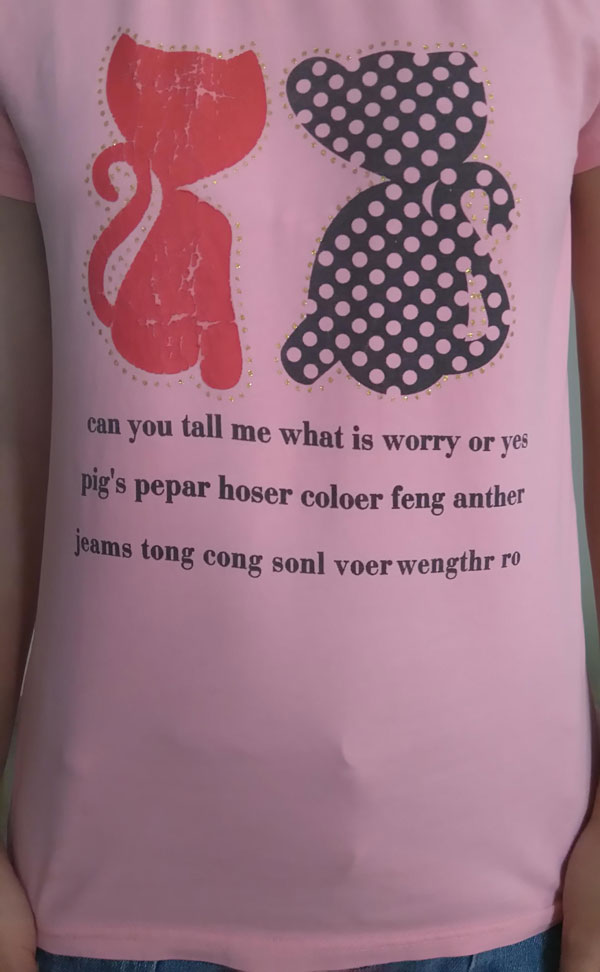 Here's a shirt my sister bought from an Asian store...