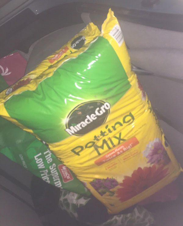 My stepdad is partially deaf but refuses to wear hearing aids. I asked him to pick up two bags of party mix for this weekend. He came home with this