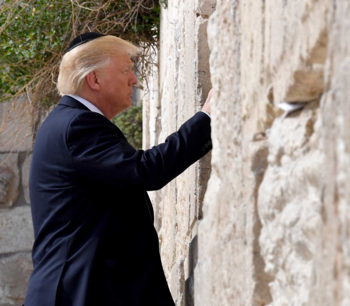 "Who paid for you?" he whispered. But the old wall keeps her secrets