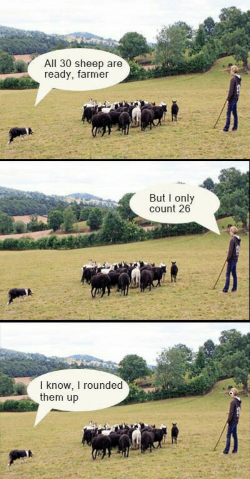 Herding sheep - The right way