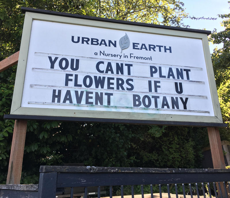 You can't plant flowers..