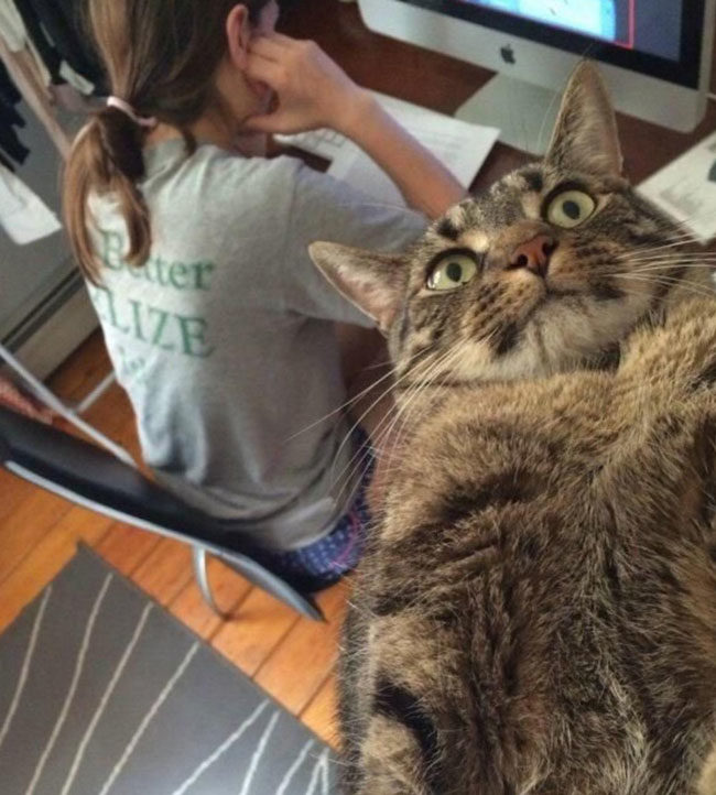 "See human, i can take stupid selfies too"
