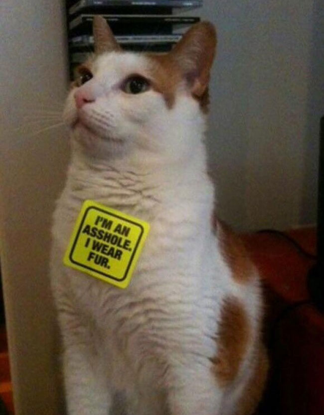The right way to use peta stickers