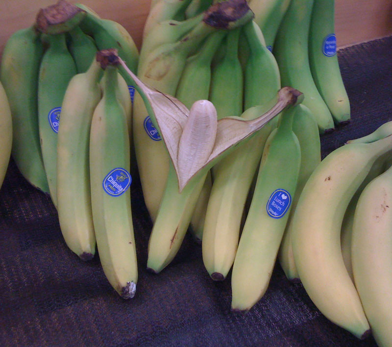 I had no idea bananas could be so ruthless
