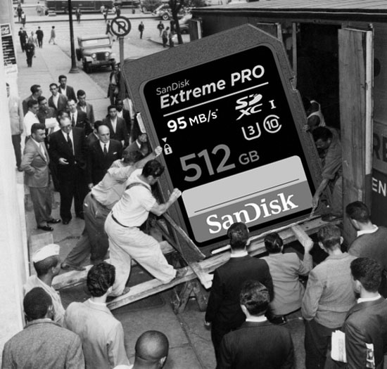 512gb SanDisk SD card (1956)