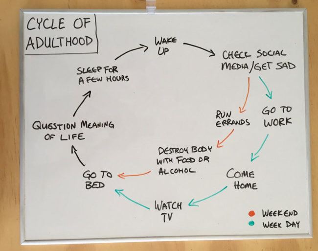 Cycle of adulthood