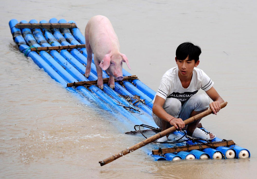Life of Pi Chinese Edition