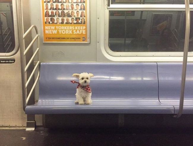 She took the midnight train going anywhere
