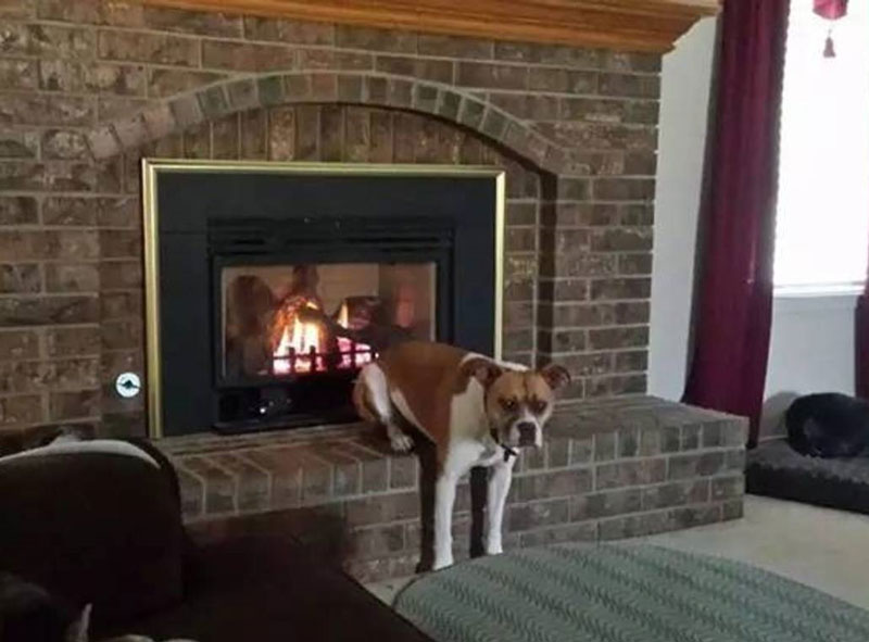 Just warming up my butt